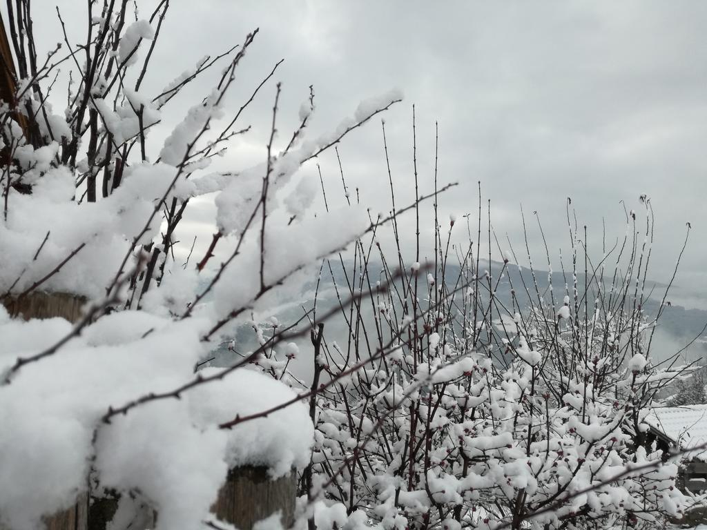 Brunnerhof Villa Feldthurns Dış mekan fotoğraf